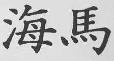 海马