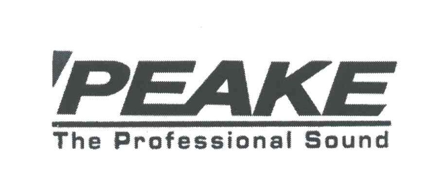 PEAKE；THE PROFESSIONAL SOUND