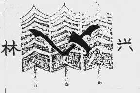 林兴