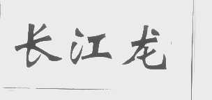 长江龙