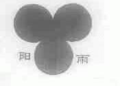 阳雨