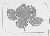 姚花