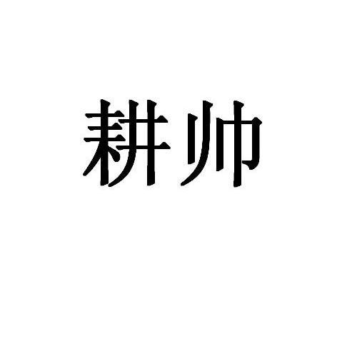 耕帅