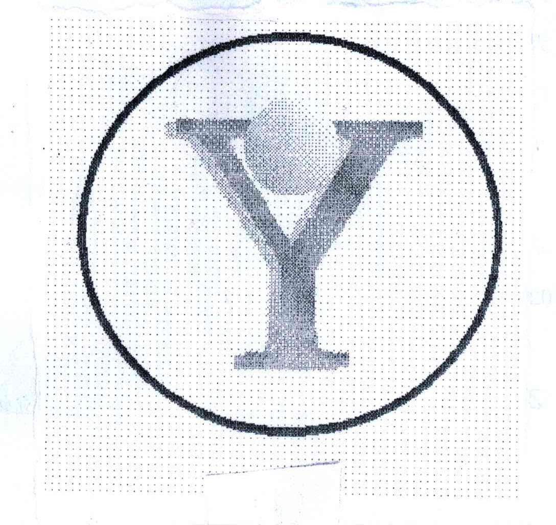 Y