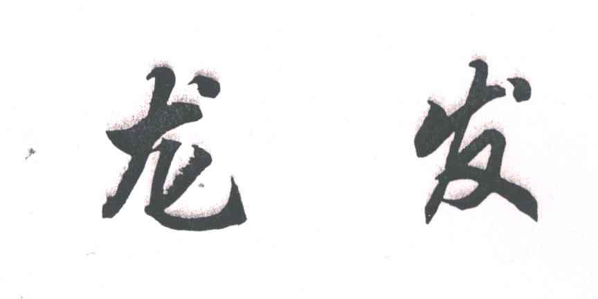 龙发