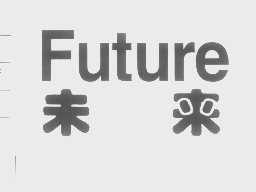 未来   FUTURE