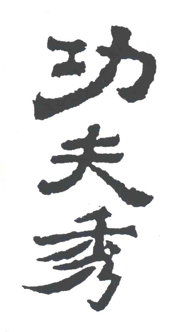 功夫秀