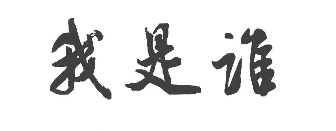 我是谁