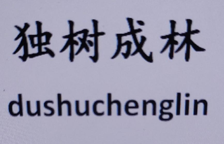 独树成林