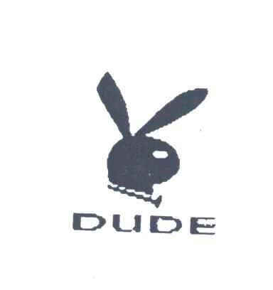 DUDE及图形