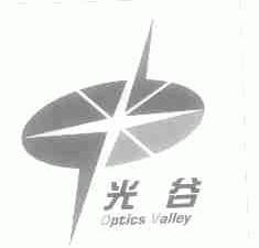 光谷;OPTICS VALLEY