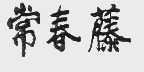 常春藤