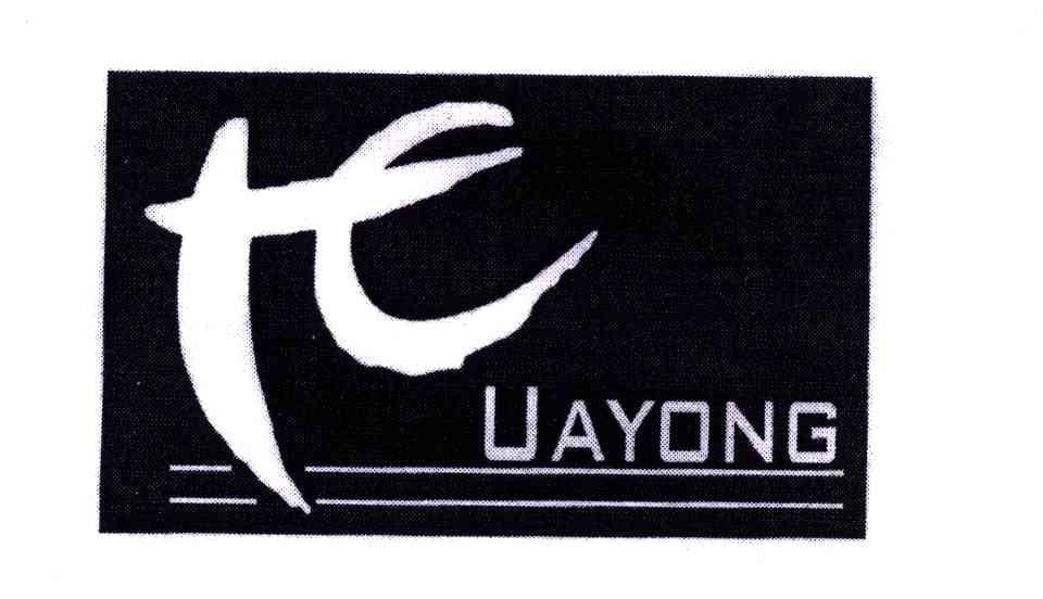 HUAYONG;H