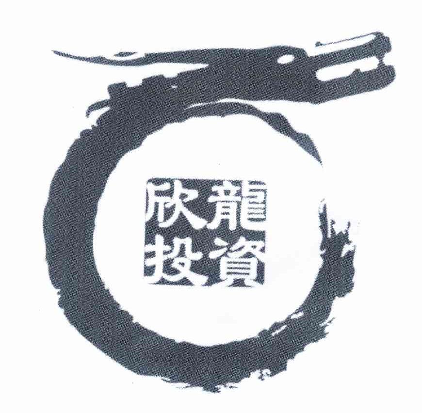 欣龙投资