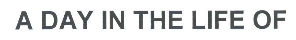 A DAY IN THE LIFE OF