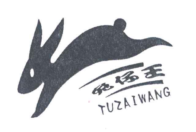 兔仔王