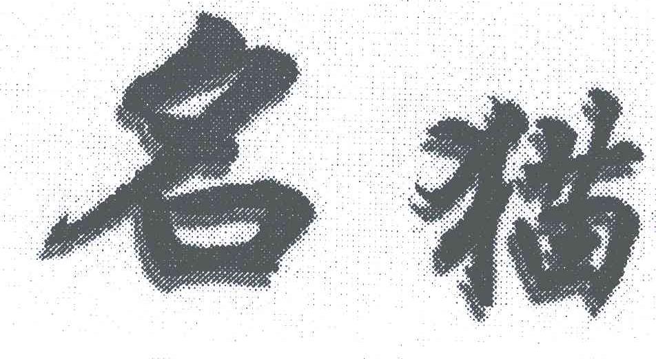 名猫