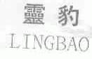 灵豹