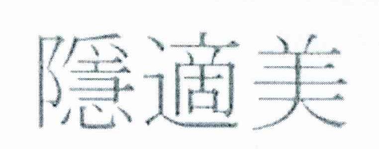 隐适美