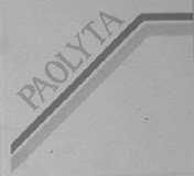 PAOLYTA