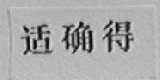 适确得
