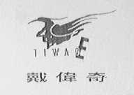 戴伟奇    TIWAE