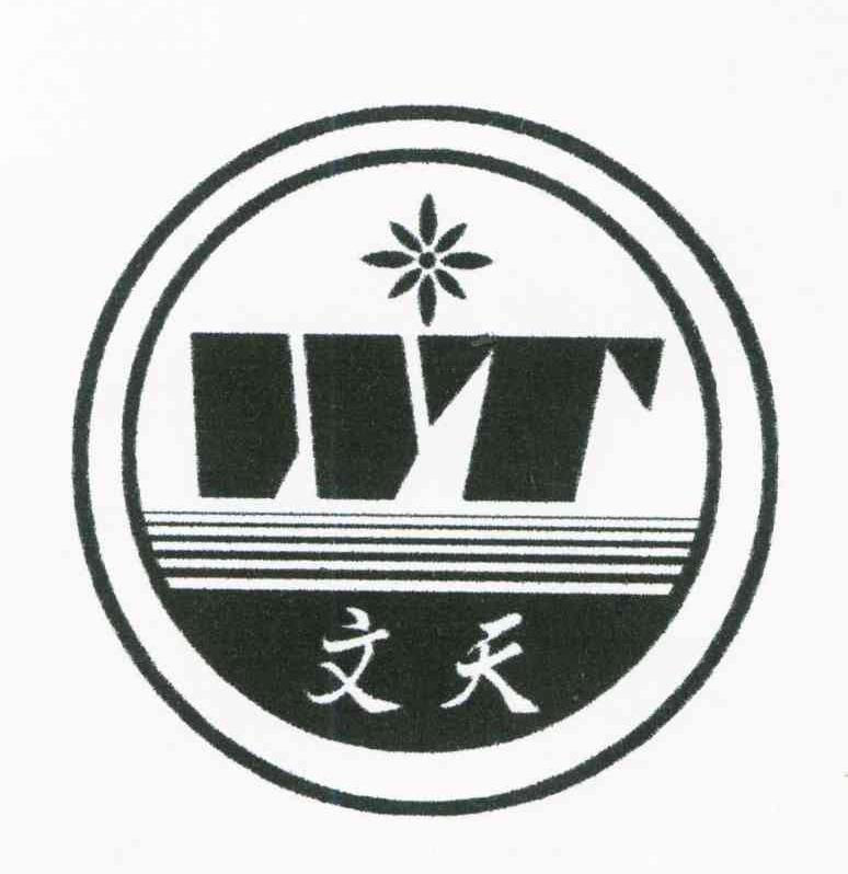 文天 WT