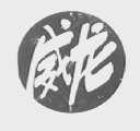 威龙