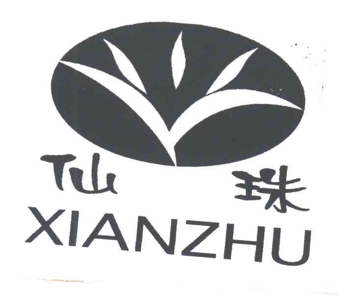 仙珠;XIAN ZHU