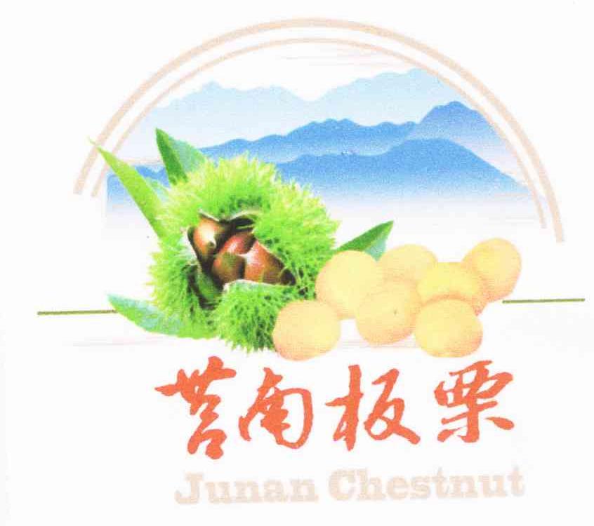 莒南板栗 JUNAN CHESTNUT