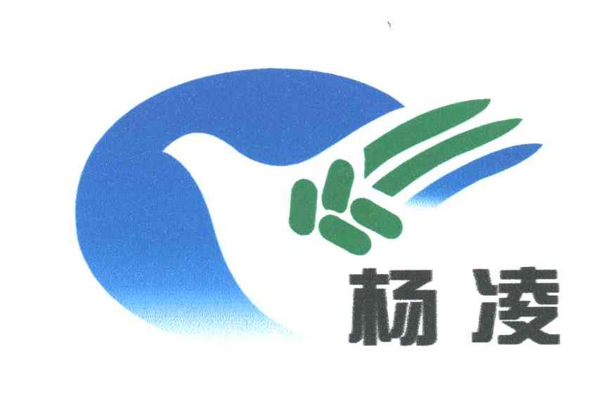 杨凌