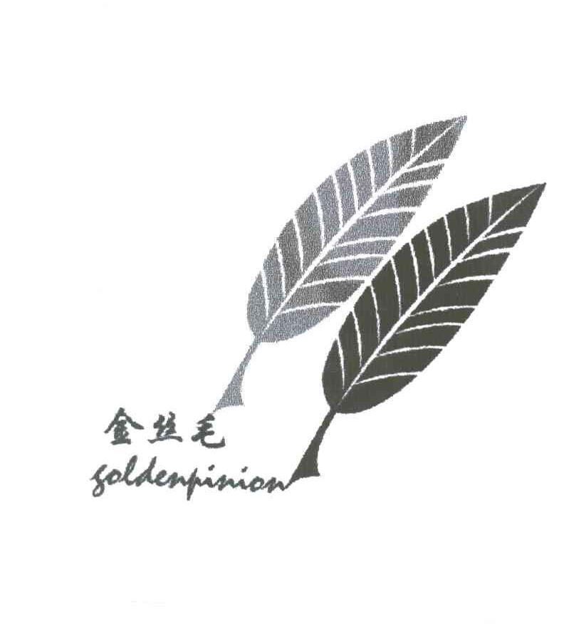 金丝毛