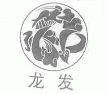 龙发