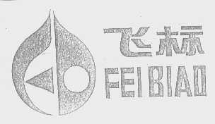 飞标