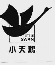 小天鹅;LITTLE SWAN