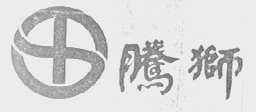 腾狮