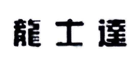 龙士达