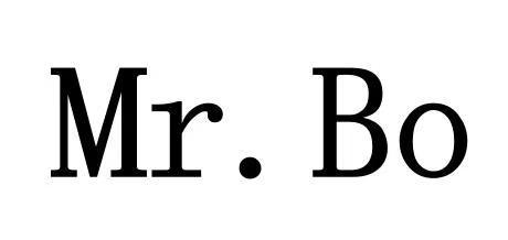 MR.BO