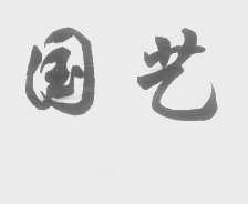 国艺
