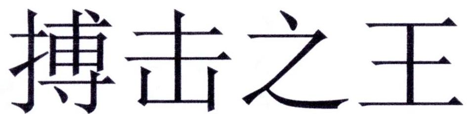 搏击之王