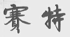 赛特