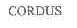 CORDUS