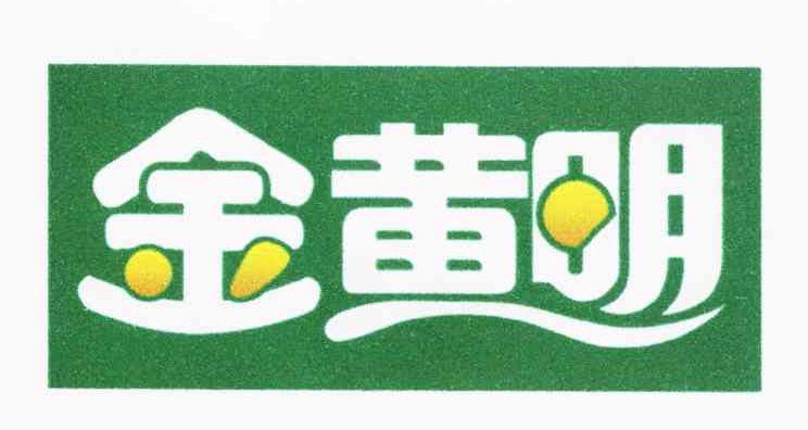 金黄明