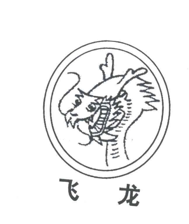 飞龙