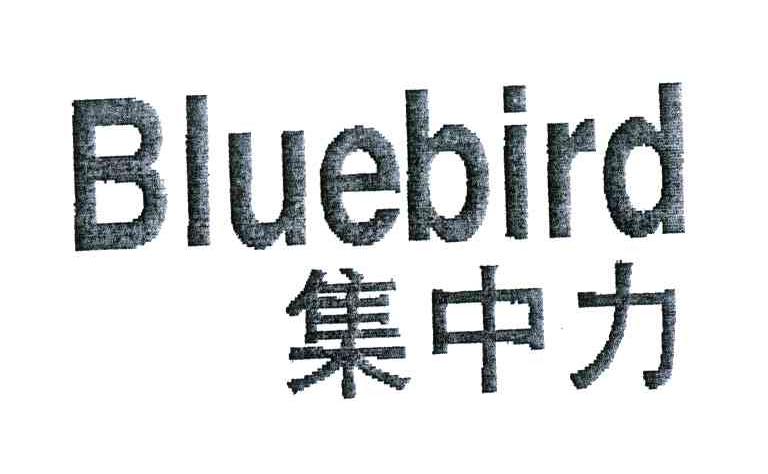 集中力;BLUEBIRD