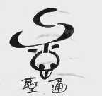 圣通