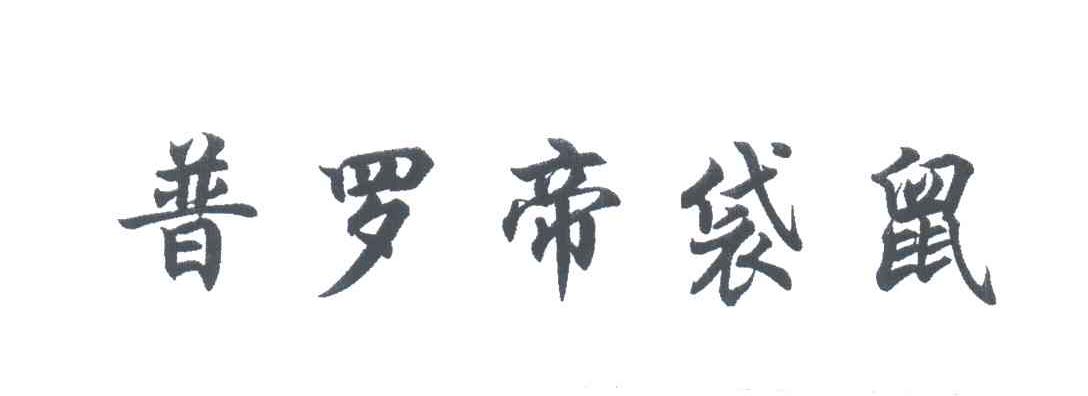 普罗帝袋鼠