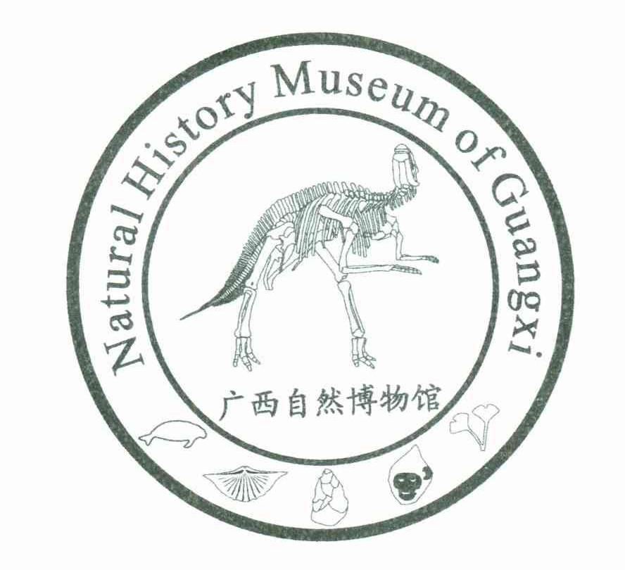 广西自然博物馆;NATURAL HISTORY MUSEUM OF GUANGXI
