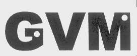 GVM