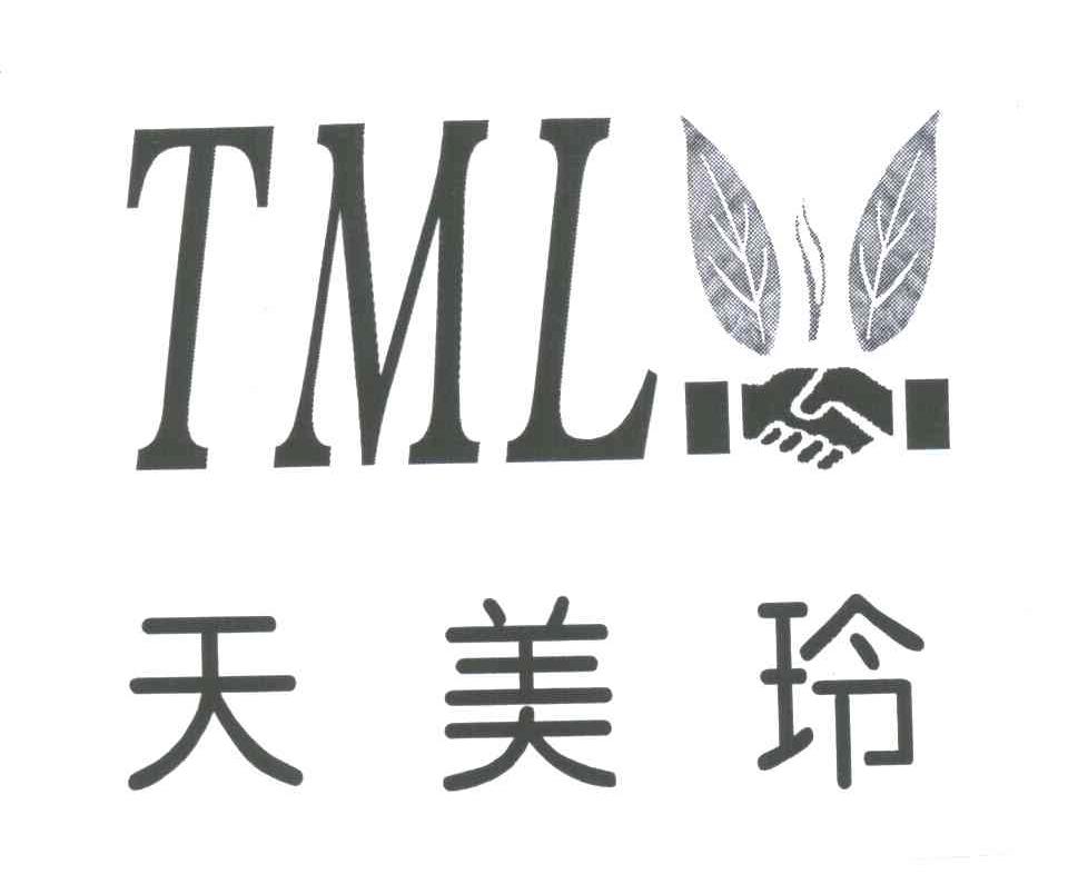 天美玲;TML